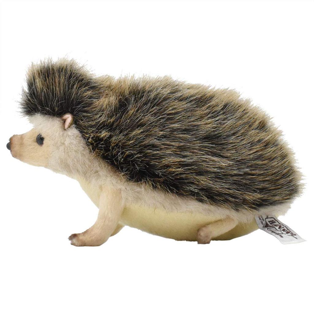 BH6807 HANSA Pygmy Hedgehog 23