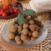 Realistic Simulation Longan Handicrafts Foam Longan Model Artificial Fruit  Flower Arrangement