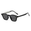 TR90 frame sunglasses, retro style, for men and women