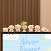 Cute Computer Display Screen Decoration New Handcrafted Desk Ornaments Mini Cartoon DollsOffice EssentialsLittle Sheep