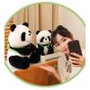 Plush Bamboo Panda Toy Cartoon Stuffed Animal Doll Decoration Kids Gift Cute