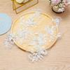 Silver Bone Three-Dimensional Embroidery Large Pair Of Float Bone Lace Lace Sticker Flower Material Accessories Clothing Jewelry Wedding Decoration