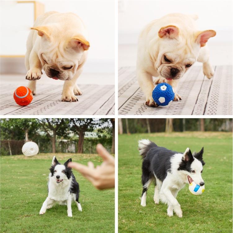 9-14cm 5PCS TPR Multi Styles Durable Interactive Eco Friendly Rubber Ball Organic Dog Chew Cooling Toys