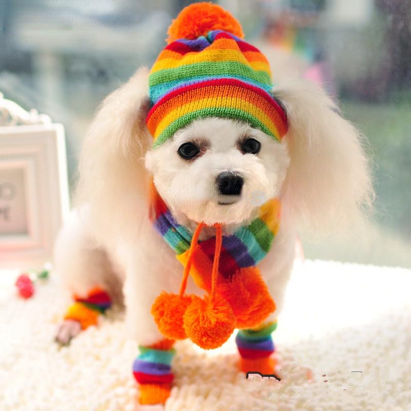 Зимние аксессуары для щенков для собак, вязаные полосатые шапки, шарф, носки, маленькие, большие животные, товары для кошек йоркширского чихуахуа