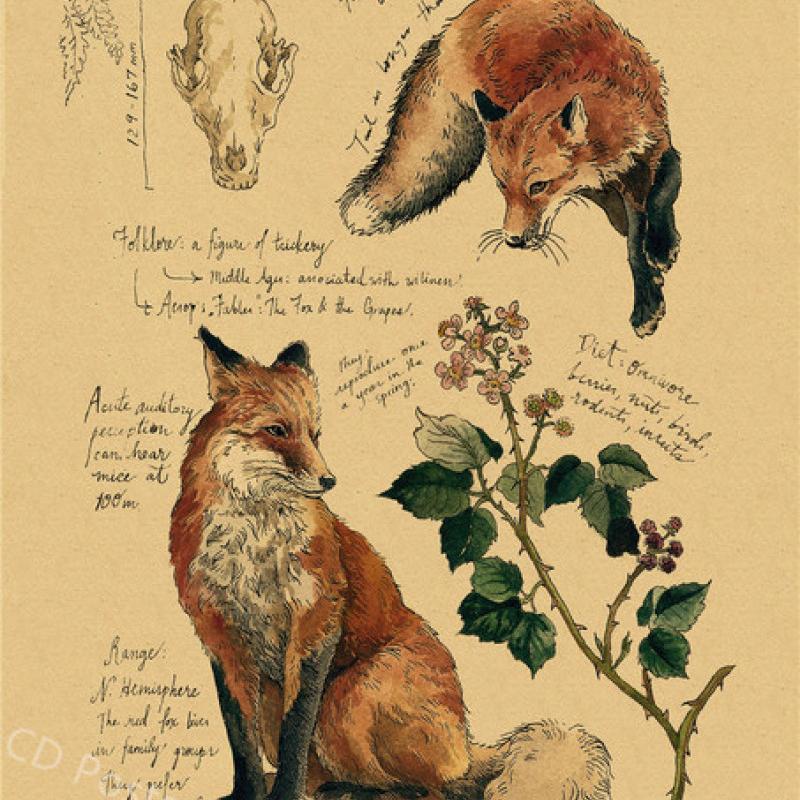 Плакат с принтом кита, винтажный домашний декор для спальни, фреска