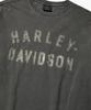 HARLEY-DAVIDSON COLLECTIONS® [1903] Лонгслив Flat Track Угольный_Hh16111001
