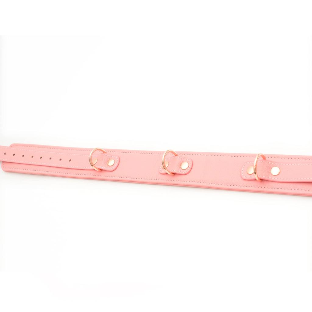 Liebe Seele Набедренные кандалы SM Товары Ограничения Розовый Косплей Натуральная кожа Бедра Королевы Сексуальный (L)