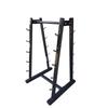 Xinghang Professional Vertical Dumbbell Rack