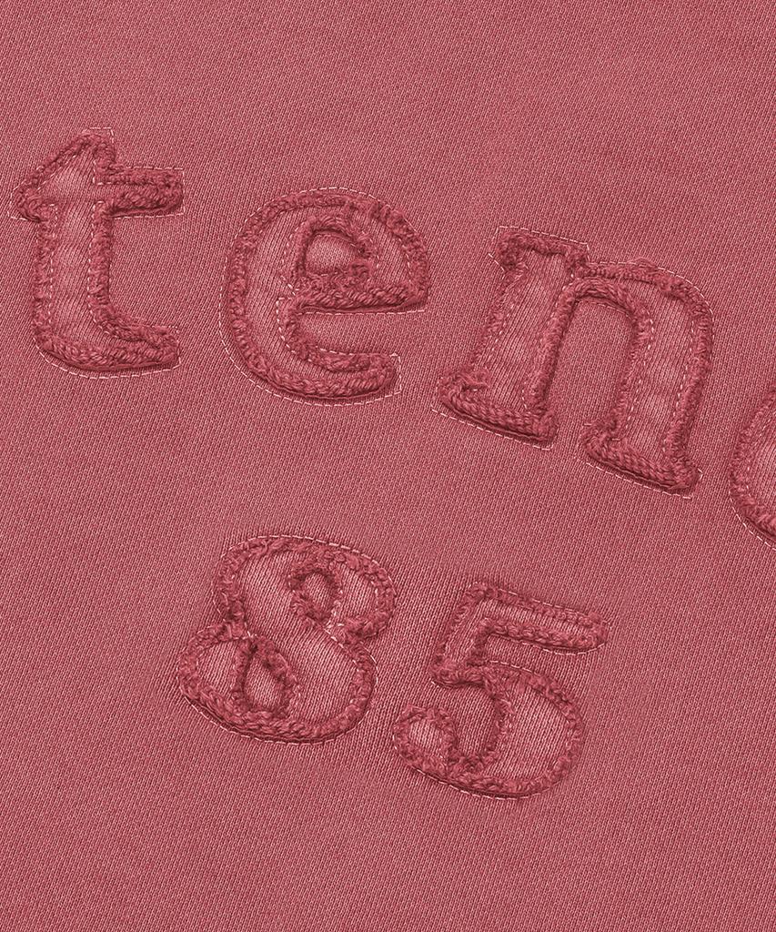STENDS [M~4Xl] Pigment Arch Logo Crew Neck_Pink