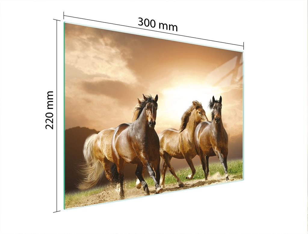 SZKLANA DESKA DO KROEJNIA 30x22 KONIE