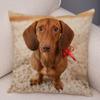 Mini Dachshund Cushion Cover Decor Pet Animal Pillowcase Sofa Home Children's Room Pillowcase