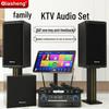 QIASHENG Home KTV Karaoke Audio System