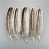 Turkey Feathers 20-25Cm/8-10Inch Natural Eagle Plume Handicraft Accessories Holiday Decoration Diy Table Centerpieces