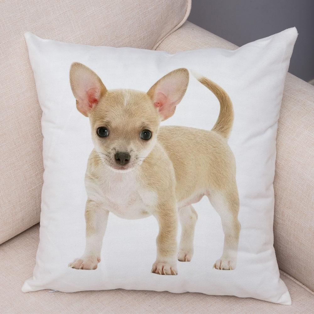 Cute Pet Animal Pillowcase Decorative Cute Puppy Chihuahua Pillowcase Soft Plush Cushion Cover for Car Sofa Home 45x45cm