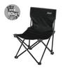 Coleman Fan Chair Double Outdoor Camp Park Storage Case Leisure Portable Balcony Compact