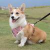 Pet Dog Harness for Medium Large Dogs Vest with D-ring Breathable Pet Chest Strap Labrador Husky Bulldog Pug Traction