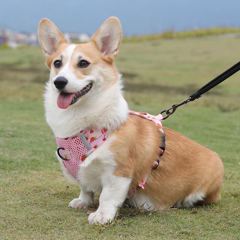 Pet Dog Harness for Medium Large Dogs Vest with D-ring Breathable Pet Chest Strap Labrador Husky Bulldog Pug Traction