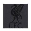 Liverpool FC Мужской комплект коротких пижам