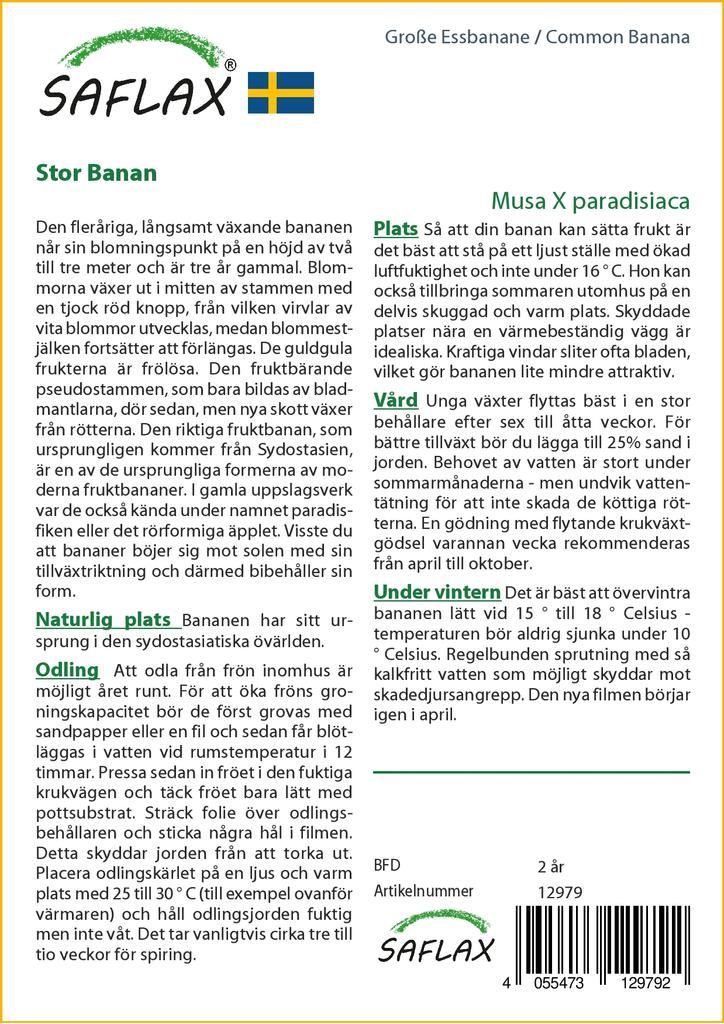 SAFLAX Банан обыкновенный - 10 семян - Musa X paradisiaca