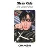 Stray Kids Официальная фотокарточка ATE MUSICPLANT
