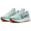 Nike Pegasus Turbo Next Nature Jade Ice Picante Красные женские кроссовки Green Clear-Jade-2 Obsidian DM3414-300