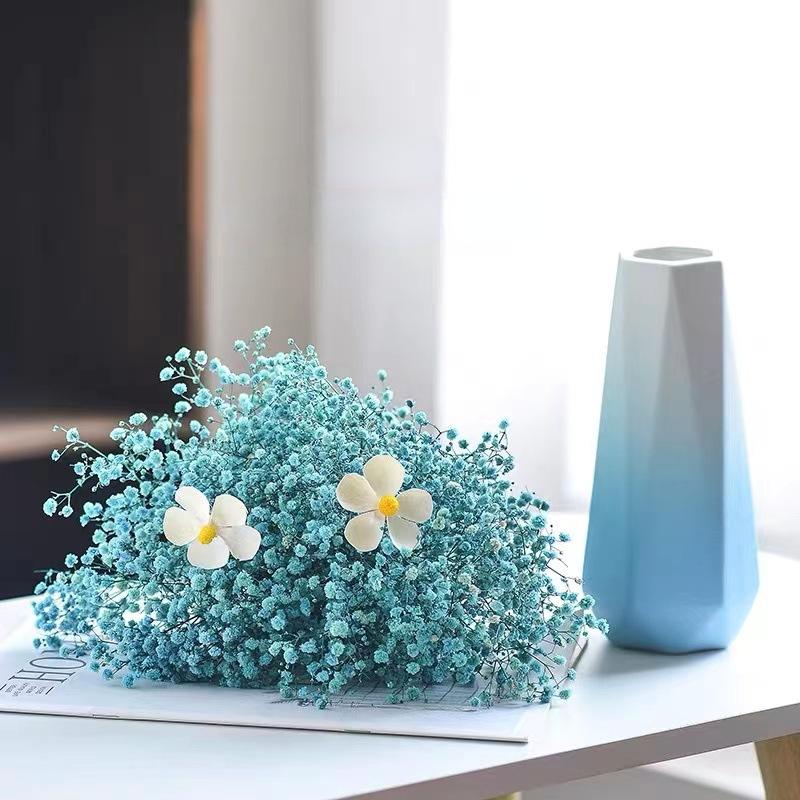 Керамическая ваза в скандинавском стиле Instagram, украшения для гостиной и обеденного стола