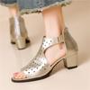Мода Летние Женские Массивные Туфли на Высоком Каблуке Золотые Серебряные Ажурные Сандалии Рим Гладиатор Рыбий Носок Элегантные Женские Туфли