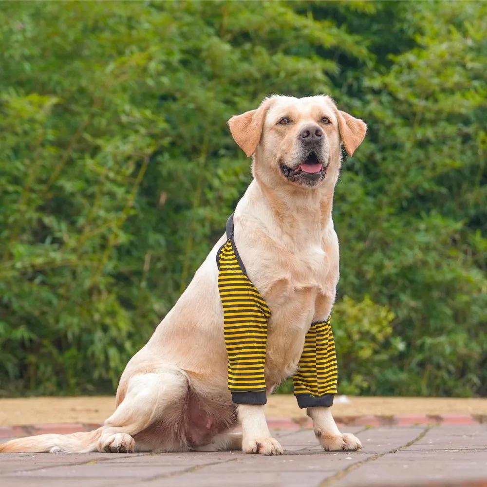 Cartoon Pattern Dog Elbow Sleeves Soft Cotton Shoulder Support Brace Pet Knee Pads - Practical Elbow Protector for Dogs