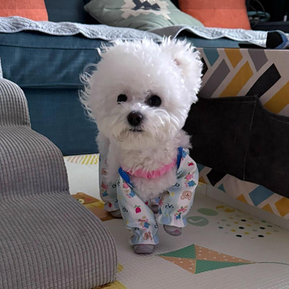 Полиэстеровые брюки для собаки на четыре лапы с обувью, брюки для защиты лап собаки, лето