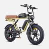 ENGWE M1 Electric Bicycle 250W Motor 48V28.6AH Dual Battery Hydraulic Brake Electric Bike 20*4.0-In Fat Tire All Terrain E-bike