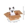 School Supplies Stationery Stickers Memo Pad Cartoon Cat Sticky Notes Kitten In Box Office Notepad