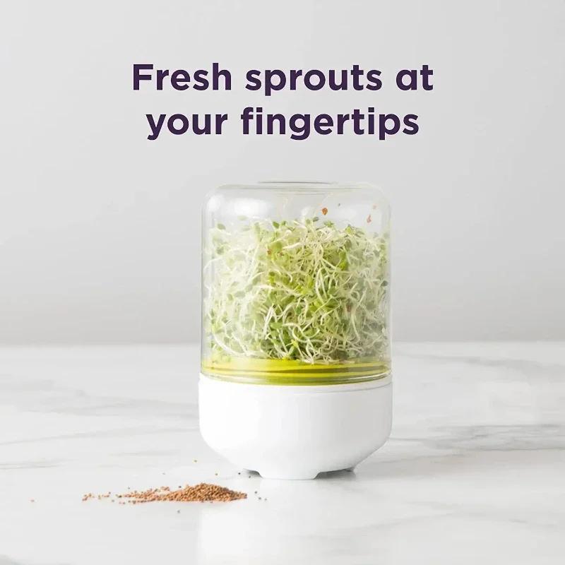 Настольный проращиватель Набор для выращивания ростков Многоразовый бытовой кухонный проращиватель бобовых растений Система проращивания семян Контейнеры для выращивания растений