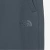 The North Face Мужские брюки Gore Divine Темно-серые Np6wq50b
