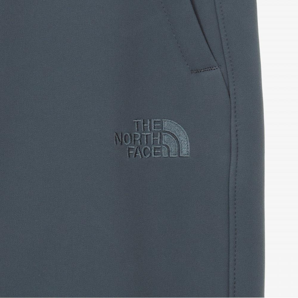 The North Face Мужские брюки Gore Divine Темно-серые Np6wq50b