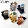 Knitted Gloves for Men and Women with Thick Velvet and Anti Cold Touch Screen Gloves Finger Jacquard Warm Outdoor Cycling Gloves