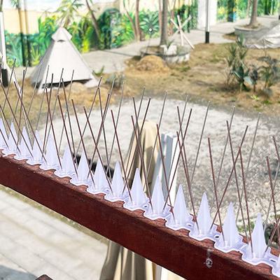 1 комплект шипов против птиц 10 шт. полоска пик из нержавеющей стали отпугиватель шипов для птиц голубей отпугиватель птиц для забора крыши балкона