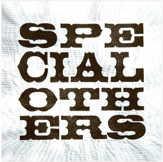 CD SPECIAL OTHERS Special Others VIZL440 Victor Entertai 2011 Япония Японский Клубный Танцевальный Б/У