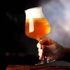 Профессиональная пивная кружка TEKU IPA эксклюзивный бокал для крафтового пива бокал для крепкого вина кружка для пшеничного пива кружка Pilsner оптом
