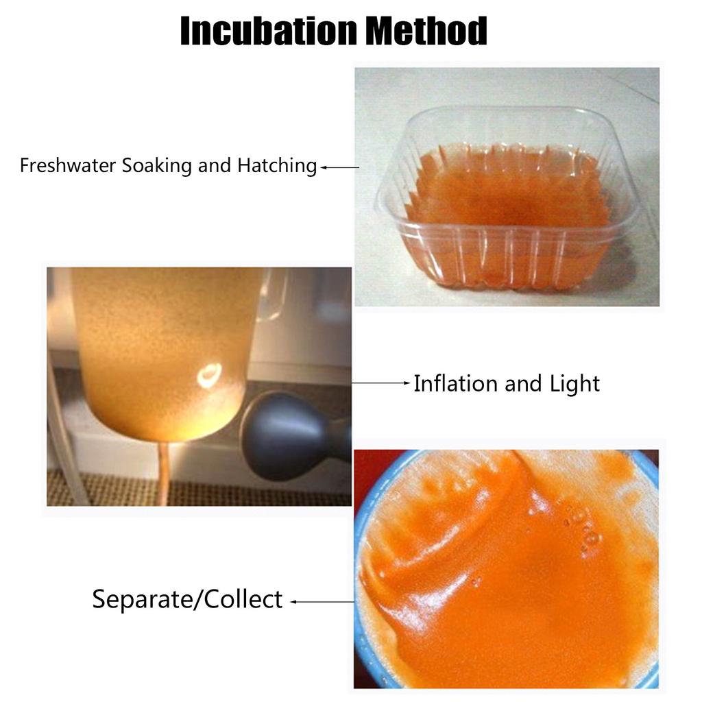 60G Aquarium Hatching Tropic Fish Food for Feeding Baby Fishes Artemia Shelling Eggs Brine Shrimp Shelling Eggfood