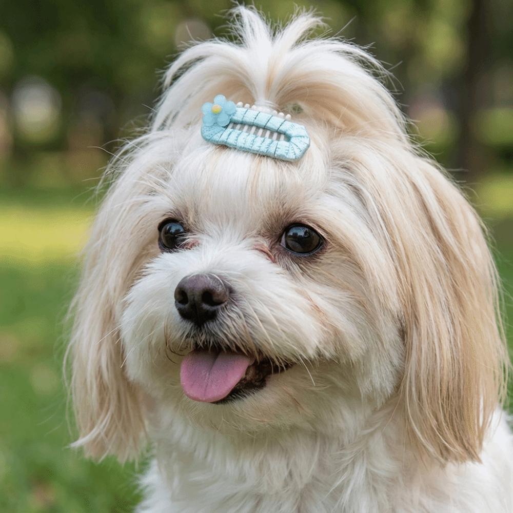 10Pcs Mixed Colors Dog Hair Clip Light Weight Pet Head Flower Dog Grooming Clip Birthday Party