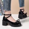 Fashion 2025 Ladies Shoes Buckle Strap Women's High Heels Fashion Shallow Office and Career New Butterfly-knot Plus Size Mary Jane Shoes