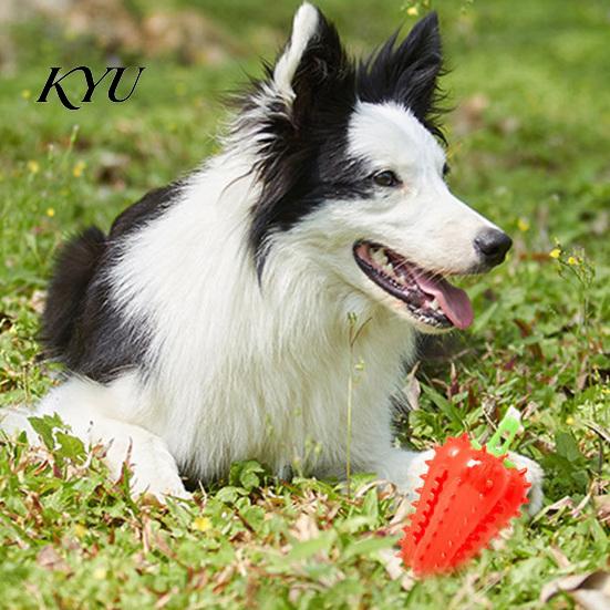 Tough Dog Toys for Small Medium Large Dogs Spiky Chili Chew Toy, Treat Dispenser Interactive Rubber Toy Teeth Cleaning, Mental Stimulation