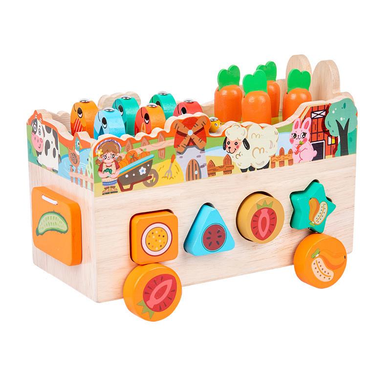 Themed Farm Animal Wooden Brain Teaser Puzzle For Preschool Educational Games
