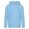 Fruit of the Loom Childrens/Kids Premium Hoodie