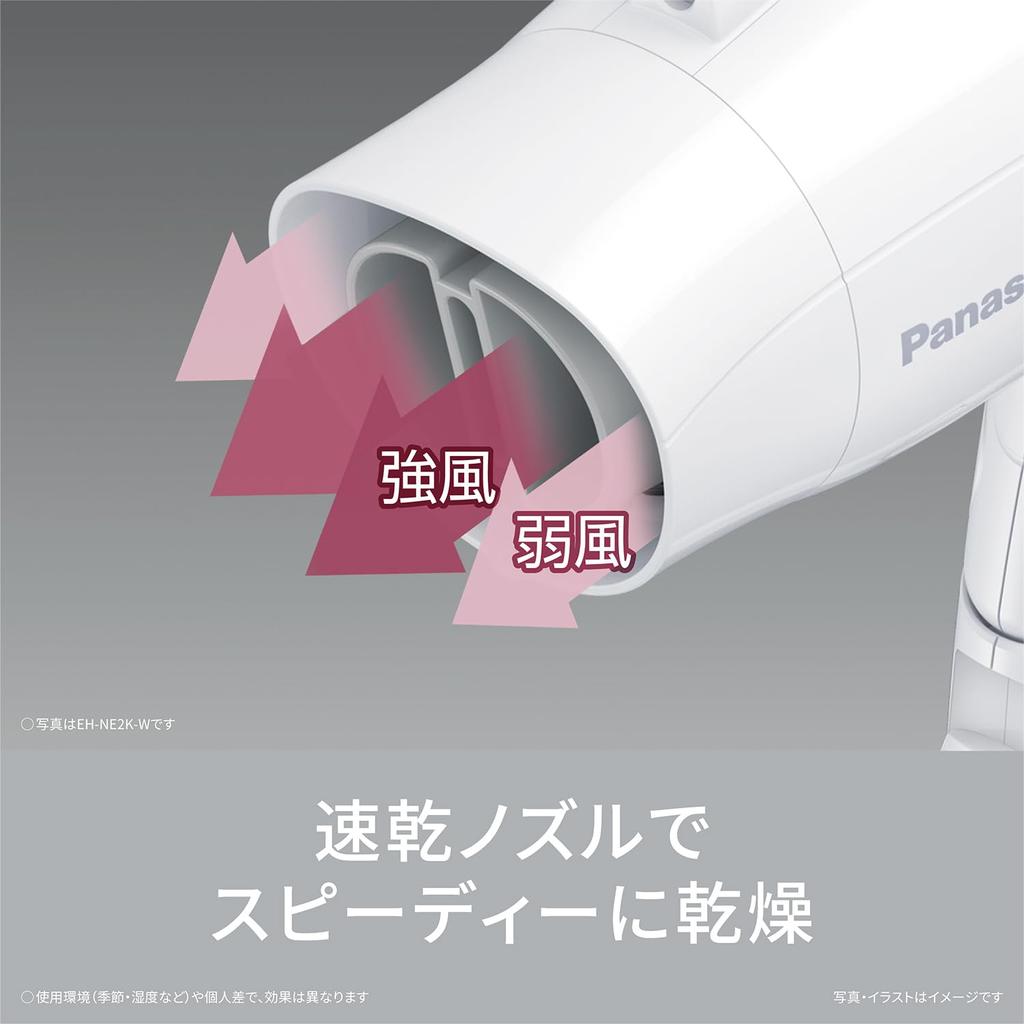 Panasonic Eioni Compact Hair Dryer EH-NE2K-H Dark Gray