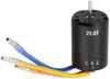 Tamiya Hop Up Options Tamiya Brushless Motor 02 with Sensor 54895 No.1895 OP.1895 21.5T