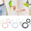 Metal Buckle Parrots Training Leash Anti-flying Bird Foot Chain Parrot Traction Rope  for Birds