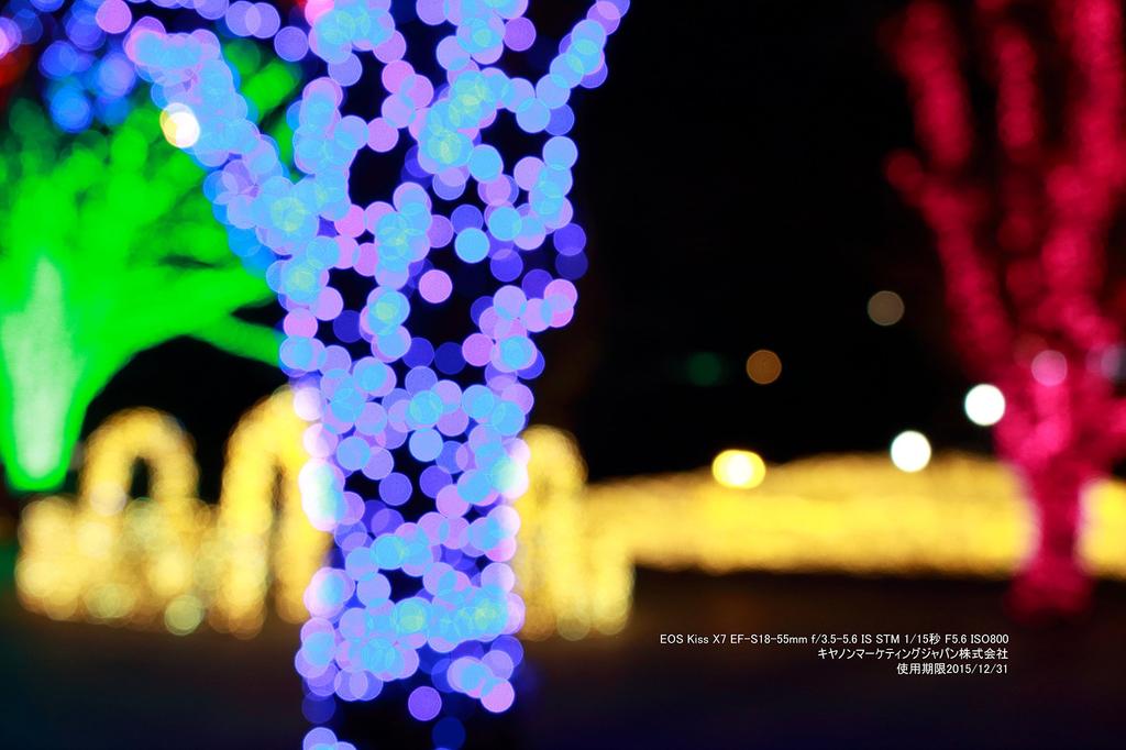 Refurbished Canon EOS Kiss X7 Digital SLR Camera with Double Zoom Kit (EF-S 18-55mm/EF-S 55-250mm) KISSX7-WKIT (Refurbished)