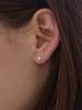Paigeflynn [Серебро 925 пробы] Серьги с муассанитом Brill Stone
