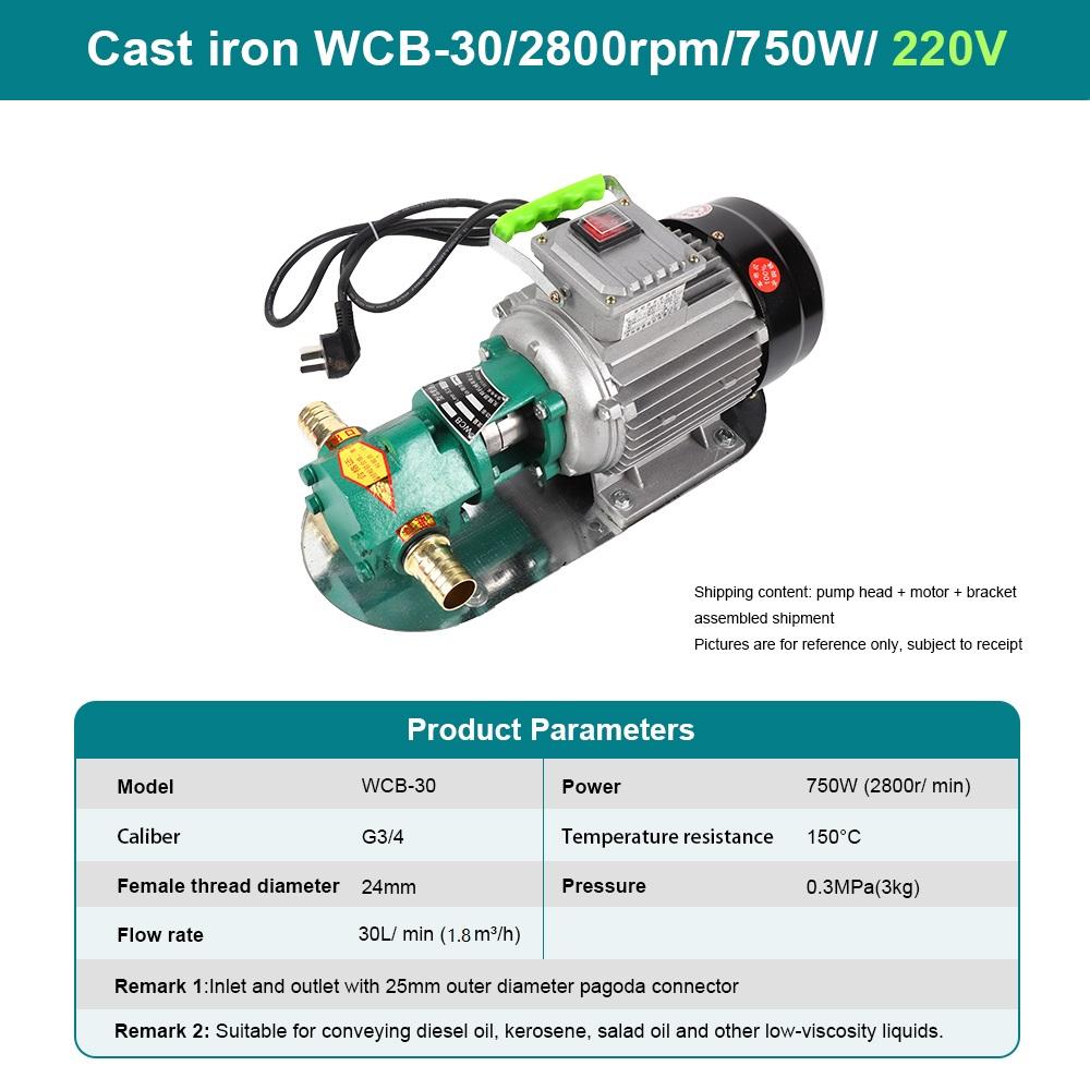 Электрические шестеренные водяные насосы Насосы из нержавеющей стали Портативные самовсасывающие всасывающие насосы Мини-дизельные насосы